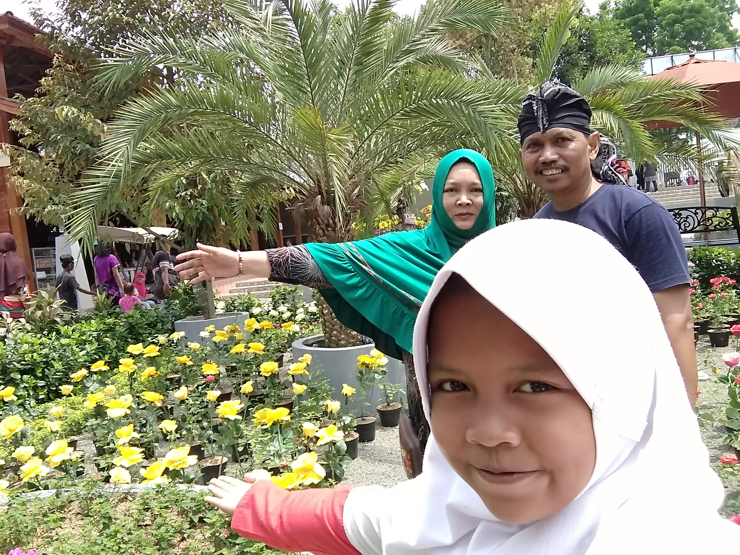 The Forest Island Baturraden