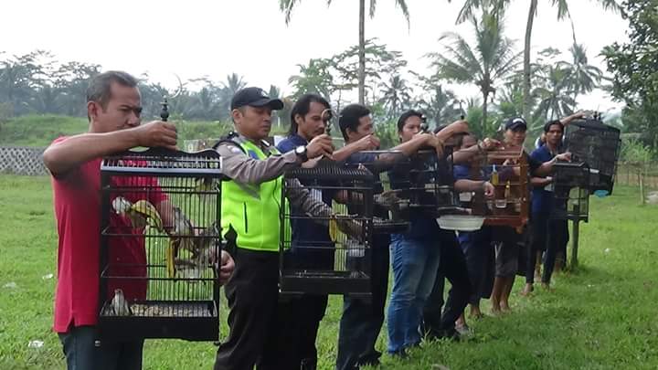 Komunitas Burung Kemutugkidul Lepas Liarkan Burung